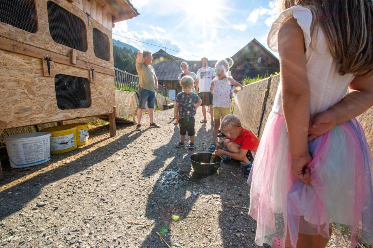 Chalets Und Apartments Hauserhof Nassfeld Schlanitzen Eksteriør bilde